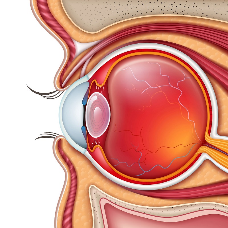 Dijabetične promene na oku sveti vid